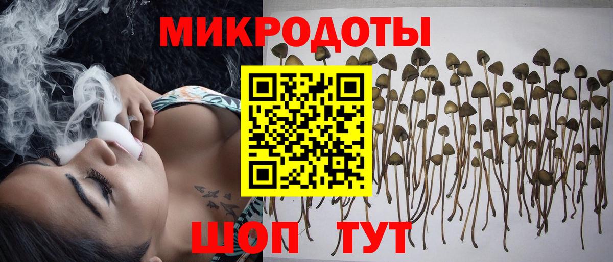 купить наркоту  Вход с VPN  Артёмовский  Псилоцибиновые грибы Cubensis 