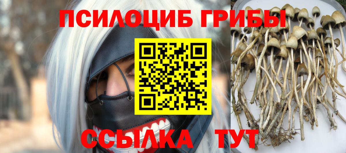 Псилоцибиновые грибы MAGIC MUSHROOMS Артёмовский